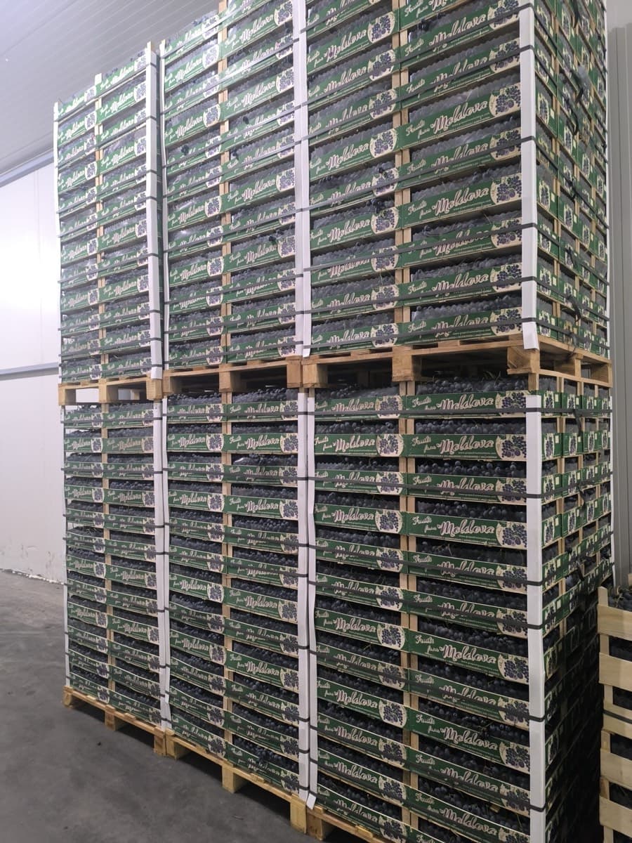 Export-ready batches