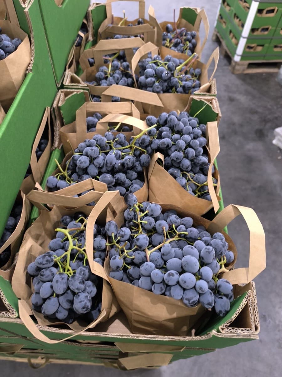 Packing and labeling batches