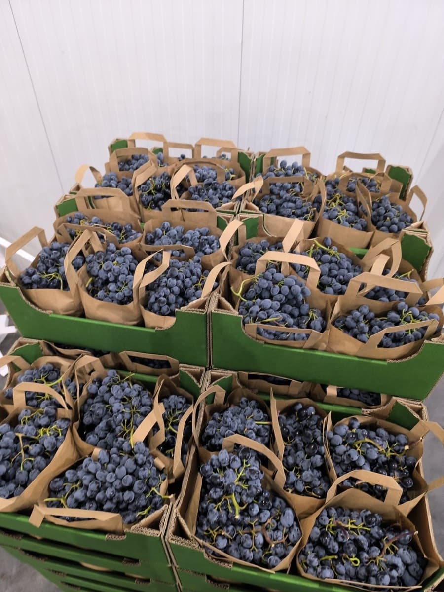 Preparing palletization