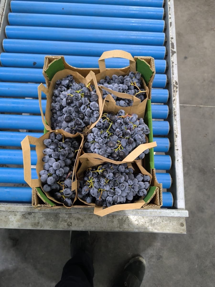 Lots aligned for dispatch