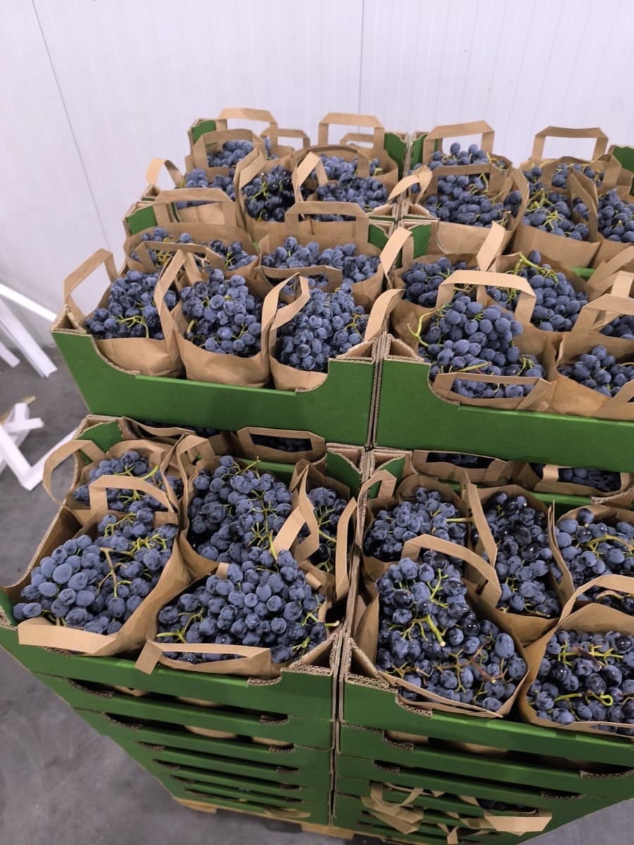 Packed goods in the warehouse